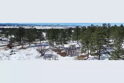 8125 Pine Straw Place, Franktown, CO 80116 - Photo 9