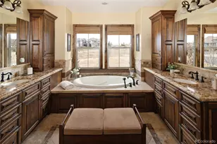 10859 Manor Stone Dr, Highlands Ranch, CO 80126 - Photo 31