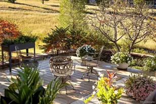 10859 Manor Stone Dr, Highlands Ranch, CO 80126 - Photo 45