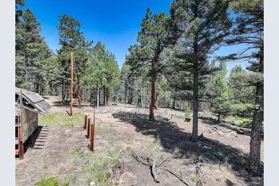 1002 Indian Creek Road, Florissant, CO 80816 - Photo 7