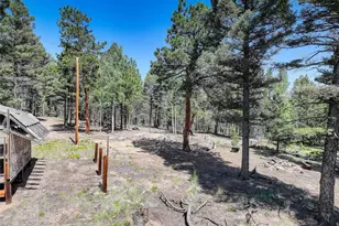 1002 Indian Creek Rd, Florissant, CO 80816 - Photo 7