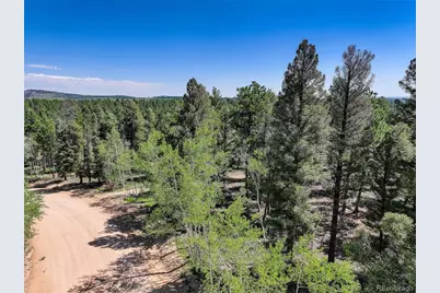1002 Indian Creek Road, Florissant, CO 80816 - Photo 3