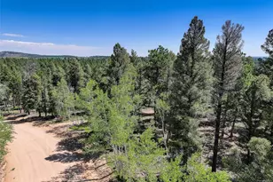 1002 Indian Creek Rd, Florissant, CO 80816 - Photo 3