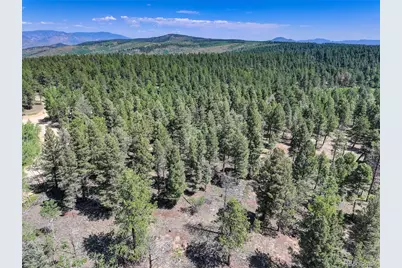 1002 Indian Creek Road, Florissant, CO 80816 - Photo 21