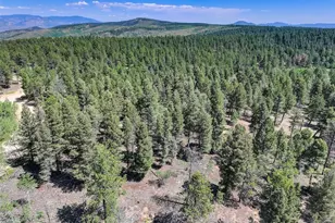 1002 Indian Creek Rd, Florissant, CO 80816 - Photo 21