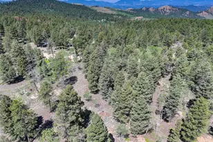 1002 Indian Creek Rd, Florissant, CO 80816 - Photo 23