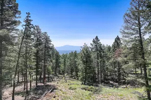 1002 Indian Creek Rd, Florissant, CO 80816 - Photo 1