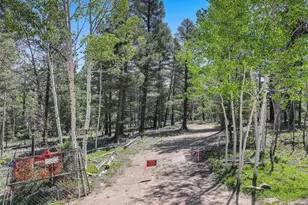 1002 Indian Creek Rd, Florissant, CO 80816 - Photo 13