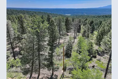 1002 Indian Creek Road, Florissant, CO 80816 - Photo 15