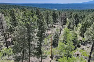 1002 Indian Creek Rd, Florissant, CO 80816 - Photo 15