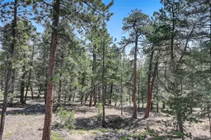 1002 Indian Creek Rd, Florissant, CO 80816 - Photo 5