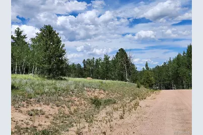 501 Cr-403, Florissant, CO 80816 - Photo 3