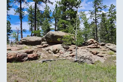 501 Cr-403, Florissant, CO 80816 - Photo 7