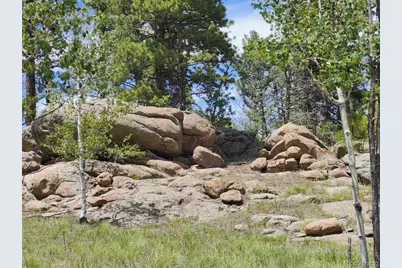 501 Cr-403, Florissant, CO 80816 - Photo 1