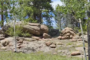 501 Cr-403, Florissant, CO 80816 - Photo 1