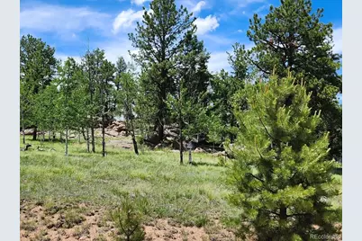 501 Cr-403, Florissant, CO 80816 - Photo 5