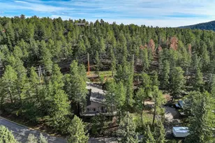 28251 Shadow Mountain Dr, Conifer, CO 80433 - Photo 41