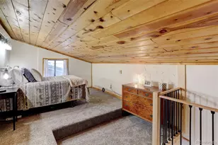 28251 Shadow Mountain Dr, Conifer, CO 80433 - Photo 11