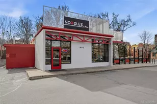 1755 N Gilpin Street, Denver, CO 80218 - Photo 41