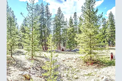 15 Placer Drive, Alma, CO 80420 - Photo 1