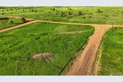 Lot 112 Will Scarlet, Divide, CO 80814 - Photo 3