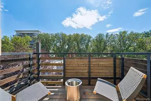 1616 N Gilpin St, Denver, CO 80218 - Photo 27