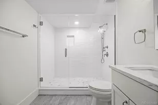 250 Ash St., Denver, CO 80220 - Photo 39