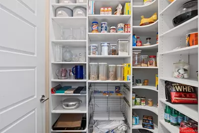 1173 Lost Elk Circle, Castle Rock, CO 80108 - Photo 13