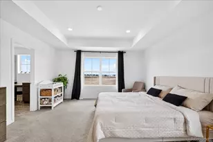 10271 Tucson St, Commerce City, CO 80022 - Photo 15