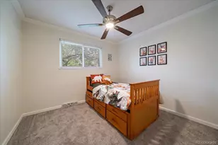 7583 S Franklin Way, Littleton, CO 80122 - Photo 29