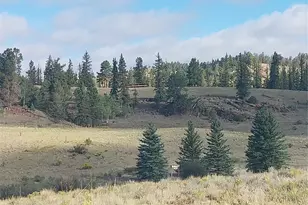 1167 Latigo Loop, Hartsel, CO 80449 - Photo 1