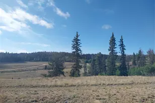 1167 Latigo Loop, Hartsel, CO 80449 - Photo 21
