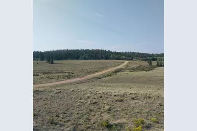 1167 Latigo Loop, Hartsel, CO 80449 - Photo 17