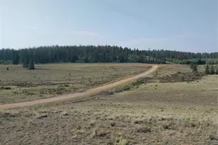 1167 Latigo Loop, Hartsel, CO 80449 - Photo 17