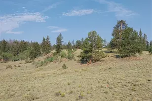 1167 Latigo Loop, Hartsel, CO 80449 - Photo 15