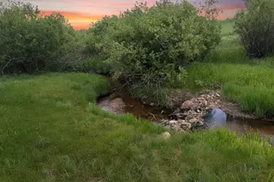 606 N Random Rd, Bailey, CO 80421 - Photo 13