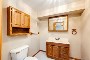 8861 Greenwich St, Highlands Ranch, CO 80130 - Photo 29