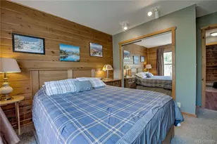 653 Vine Rd, Fairplay, CO 80440 - Photo 21