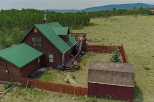 653 Vine Rd, Fairplay, CO 80440 - Photo 45