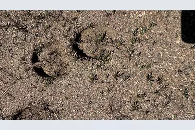 17222 Little Shadow Trail, Littleton, CO 80127 - Photo 7