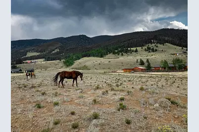 206 La Font Drive, Creede, CO 81130 - Photo 23