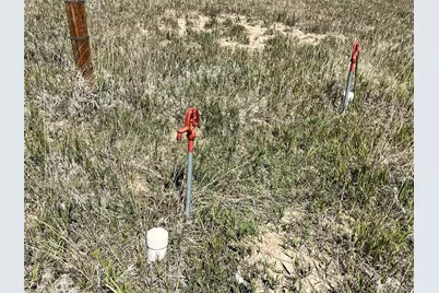 Crickworld Street, Elbert, CO 80106 - Photo 3