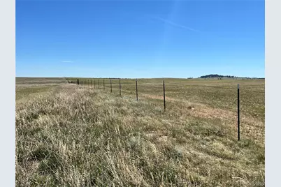 Crickworld Street, Elbert, CO 80106 - Photo 11