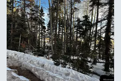 2354 Benton Place, Fort Garland, CO 81133 - Photo 9