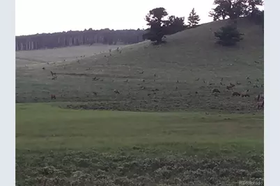 2354 Benton Place, Fort Garland, CO 81133 - Photo 5