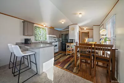 159 Mallard Street, Golden, CO 80401 - Photo 5