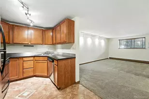 1045 N Clarkson St, Denver, CO 80218 - Photo 7