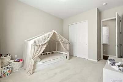 6883 Mentha Drive, Castle Rock, CO 80108 - Photo 39