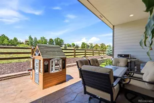 6883 Mentha Dr, Castle Rock, CO 80108 - Photo 47