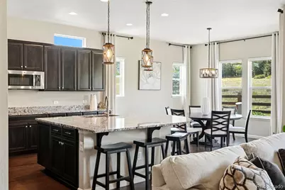 6883 Mentha Drive, Castle Rock, CO 80108 - Photo 19